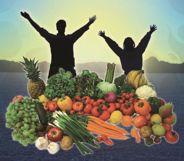Course: General Interest Nutrition & Health: The Fundamentals (GIFN)